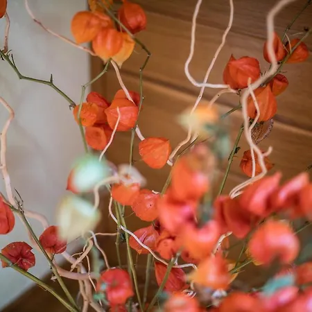 Tina With Seasonal Pool Apartman *