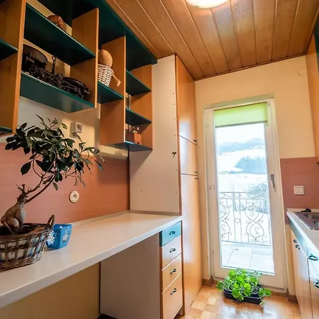 Tina With Seasonal Pool Appartement *