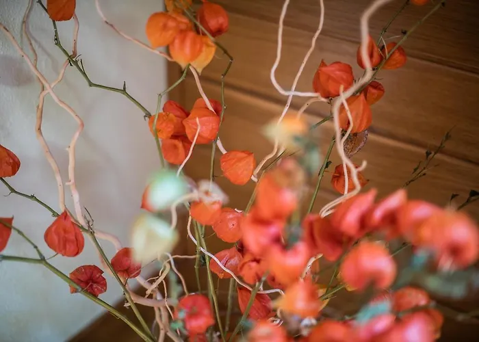 Tina With Seasonal Pool Appartement *